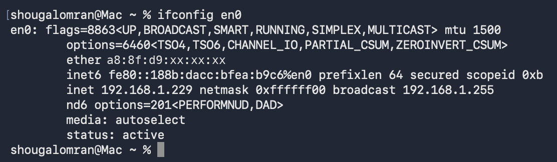 ifconfig en0: ether is the MAC (redacted here), inet is 192.168.1.229