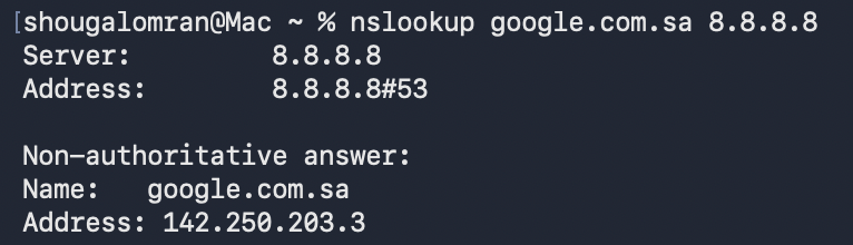 nslookup google.com.sa 8.8.8.8 answered 142.250.203.3